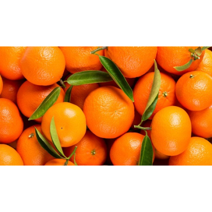 Naranjas de ombligo (Washington navel, Navel navelina y Valencia late)