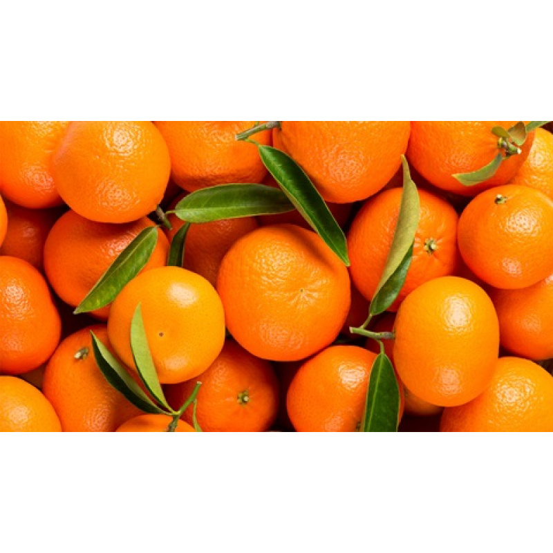 Naranjas de ombligo (Washington navel, Navel navelina y Valencia late)